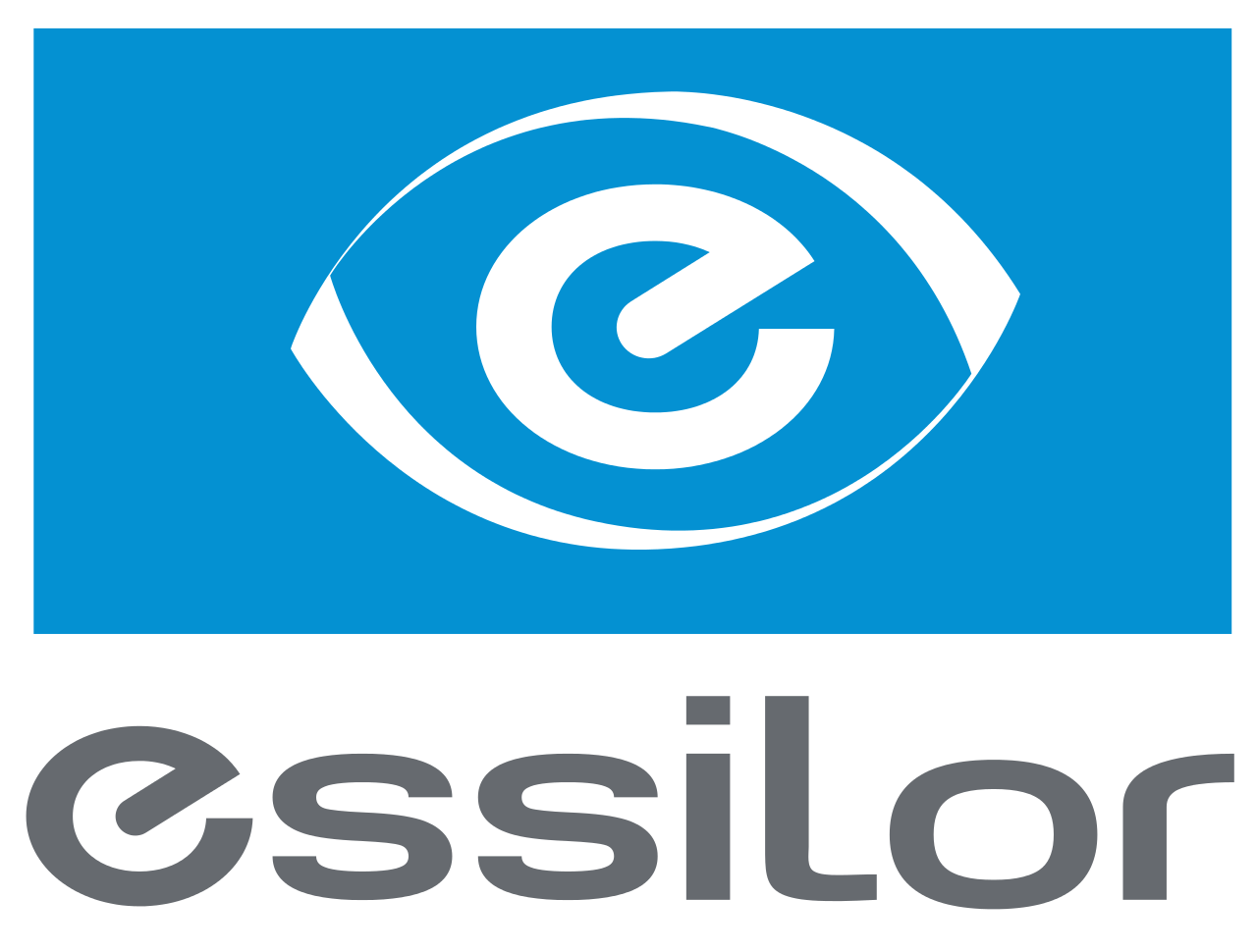 What Companies Does Essilor Own